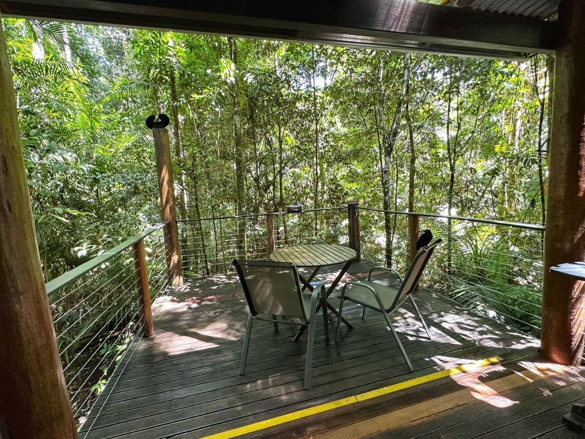 Crater Lakes Rainforest Cottages 영가버라 외부 사진